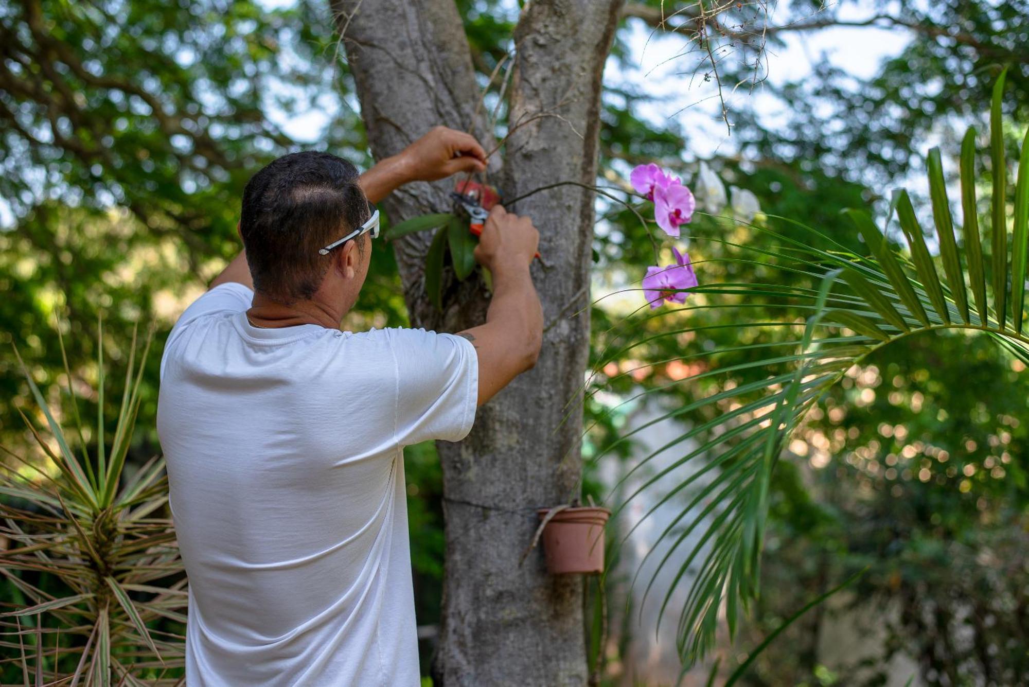 Villa Bella Ferradura Armacao dos Buzios Dış mekan fotoğraf